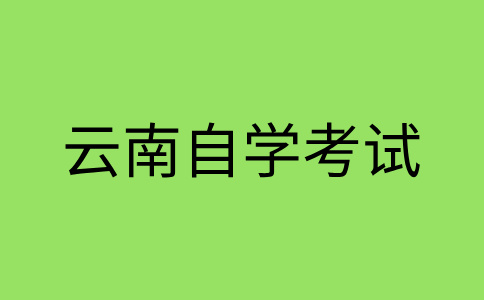 云南自考本科毕业证书出国签证可以用吗?